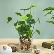 Artificial Plant In Pot Decoration Household Potted Plant Ornament Realistic