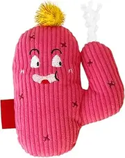 Catnip Toys for Cats | Cactus Cat Teething Toys with Catnip,Safe Bite Resistant Pillow, Interactive Games with Sound, Teeth Cleaning Pet Supplies, Promotes Kitten Exercise