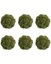 Creative Displays Set of 6 Decorative Green Sedum Balls