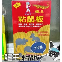 在飛比找蝦皮購物優惠-鱷王 環保黏鼠板 奶油香味 鱷王 阿里巴巴 粘鼠板 黏鼠板 