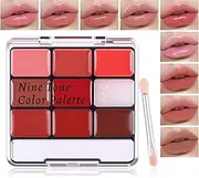 DAGEDA Lip Gloss and Lipstick Palette,6Colors Lip Gloss and 3Colors Matte Lipstick with Silicone Brush,Non Sticky,Moisturizing,Lightweight Jelly Texture Watery Makeup Set(Color A)