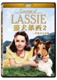 在飛比找博客來優惠-靈犬萊西2：戰火歷險記 伊麗莎白泰勒 DVD