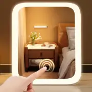 Lighted Makeup Mirror With Light LED Strip Standing Tabletop USB Rechargeable