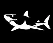 Great White Shark White Vinyl Decal Car Truck Window Laptop Tablet Notebook