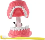 Cabilock 1 Set Educational Tooth Brushing Model with Toothbrush Plastic Practice Aid Realistic Gum Texture Kids Teeth Cleaning Training Kit