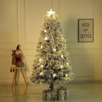 在飛比找Yahoo!奇摩拍賣優惠-【現貨精選】植絨積雪光纖聖誕樹暖白八功能光效雪景裝飾聖誕裝飾