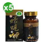 ㊣台糖蠔蜆錠5瓶(600粒)＃有效期限2025年7月＃現貨＃可超取付款＃另售大蒜精 台糖寡醣乳酸菌