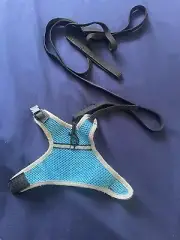 ferret harness and leash