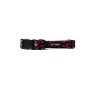 AFL Essendon Bombers Pet Collar L Dog 33-52cm Neck Nylon Accessory Strap Buckle