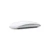 (聊聊享優惠) Apple Magic Mouse (台灣本島免運費) MK2E3TA