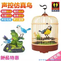 在飛比找蝦皮購物優惠-【仿真鳥💝模型鳥】兒童創意仿真小鳥 電子鳥 聲控感應鳥 錄音