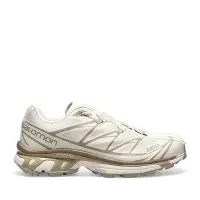 在飛比找Yahoo!奇摩拍賣優惠-SALOMON XT-6 戶外運動鞋 l41751000。太