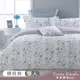 【Tonia Nicole 東妮寢飾】紫藍花韻100%精梳棉兩用被床包組(雙人)