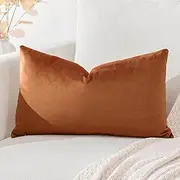 Artscope Luxury Velvet Cushion Covers Super Soft Decorative Rectangle Throw Pillow Covers Case Cushion Covers for Sofa Couch Bedroom Car Decor 40x60cm Orange