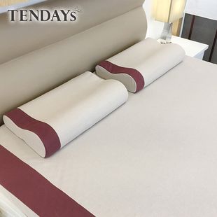 TENDAYS 玩色柔眠記憶枕2入組(焦糖莓 8/10cm任選)