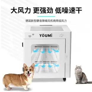 【新款上市 全款咨詢客服】YOUMI悠米寵物烘干箱家用吹水機吹風箱貓咪狗狗烘干機中型犬家用