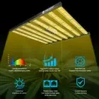 800W Most efficient LED Grow Light Full Spectrum Indoor Plants Bloom Samsung Bar