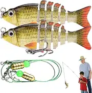 Bass Fishing Bait, Floating Segmented Float, Realistic Bait Spinner Bait with Multiple Joints, 2 x Fishing Accessories, Slow Sinking Crank Bait for Bass Trout Salmon Pike Walleye