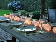 20 White 5cm Ball battery string LED - wedding party home event decoration