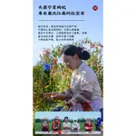 花茶 水果茶 枸杞五花茶 玫瑰花 桑椹 紅棗 紅豆 桂圓