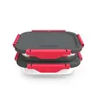 Inner Dish Set of 2 Reusable Stainless Steel Containers with Lid to Meal Prep...