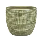 Scheurich 16cm Green Corteza Pot