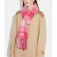 在飛比找蝦皮購物優惠-Coach 粉色格紋羊毛圍巾