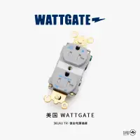 在飛比找露天拍賣優惠-新款美國 WATTGATE 瓦特 381AU TR 鍍金 音