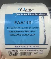 Sundance Microclean Disposable Element