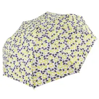 在飛比找momo購物網優惠-【rainstory】時光花漾抗UV雙人自動傘