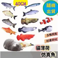 在飛比找PChome24h購物優惠-【40cm款式隨機出貨】逗貓玩具 貓草魚 貓薄荷魚 仿真魚 