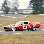 Allan Moffat Ford Mustang Trans-am Photo Print - 8" x 8"