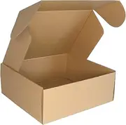 Corrugated Cardboard Shipping Boxes, 250x200x100mm Small Parcel Boxes, Packaging Mailing Boxes for Business, Posting, Small Packet Shipping, Storing or Gift(Pack of 10)