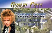 Mr David Bowie Drivers License Goblin King Labyrinth fun for Halloween costume