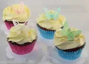 24 Edible BUTTERFLY Rice/Wafer Paper CUPCAKE/CAKE Topper Lace Butterflies
