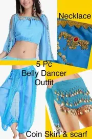 Belly Dancer Costume 5 Pc Sequins Scarf Hip Belt W Coins Top Pants Gold Necklace