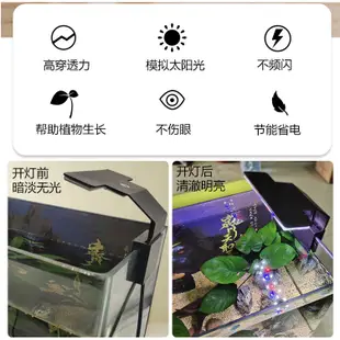 觸摸式 水族箱USB夾燈 魚缸夾燈 LED夾燈 水族燈具 水族照明 水草燈【現貨天天出】