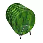 Melamine Banana Leaf Print Serving Plate for Lunch, Dinner ( Set of 6, 10 inch )