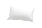 Jason Allergy Sensitive Pillow (Medium Feel)