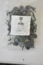 CP Toys 12 Piece Insect Set Includes Mantis Scorpion Grasshopper etc TYE-13