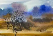 Pamela Wilhelm Original Watercolor 5”x7” Morning Mist Trees High-grass Cloud