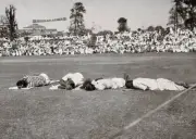Groundstaff taking a nap cricket ground Eden Gardens Calcutta afte- 1930s Photo