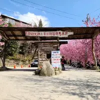 在飛比找蝦皮購物優惠-司馬庫斯  九人座 包車 登山 旅遊  機場接送