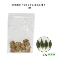 在飛比找蝦皮購物優惠-大包裝G57.山野小苦瓜(山苦瓜)種子15顆 果實顏色深綠 