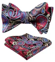 Bow Ties for Men Paisley Bowties Mens Self Tie Bow Tie and Pocket One Size Red