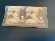 Underwood & Underwood Pub. Stereoscopic Card ~ The Watchful Guardian - c.1902