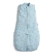 Ergopouch Toddler Jersey Sleep Suit Bag Tog 0.2 Dragonflies