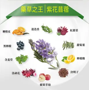 【廖家儀推薦】 ivenor 十時塑 花草茶 原廠正貨 (4.8折)