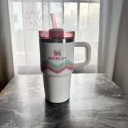 Stanley CREAM EGG-CELLENCE 20oz Limited Edition Easter Quencher Cup IN HAND NOW