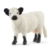 Shu Reich Farm World Galloway Cow Female 13960N 689